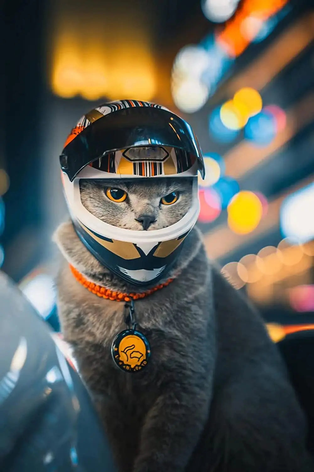 ATUBAN PawGuard: Feline Safety Chic Helmet