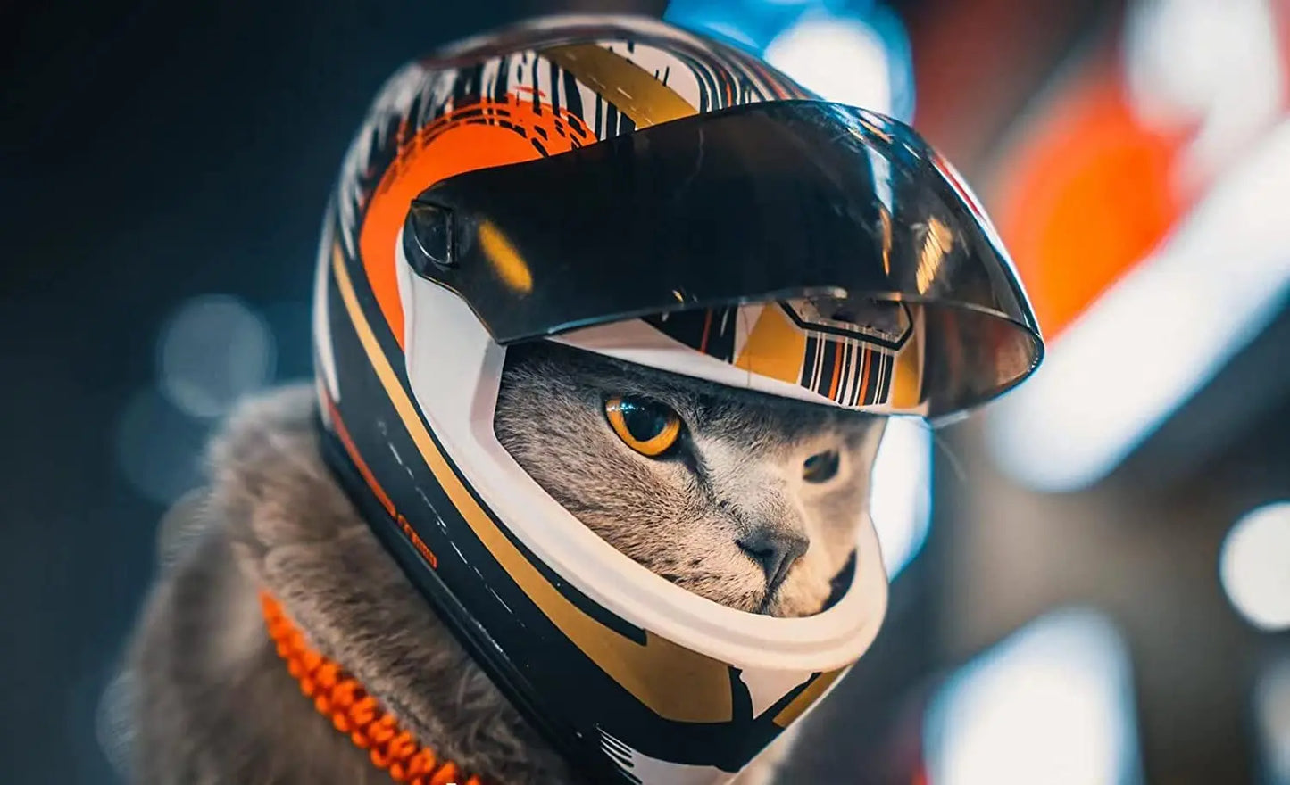 ATUBAN PawGuard: Feline Safety Chic Helmet