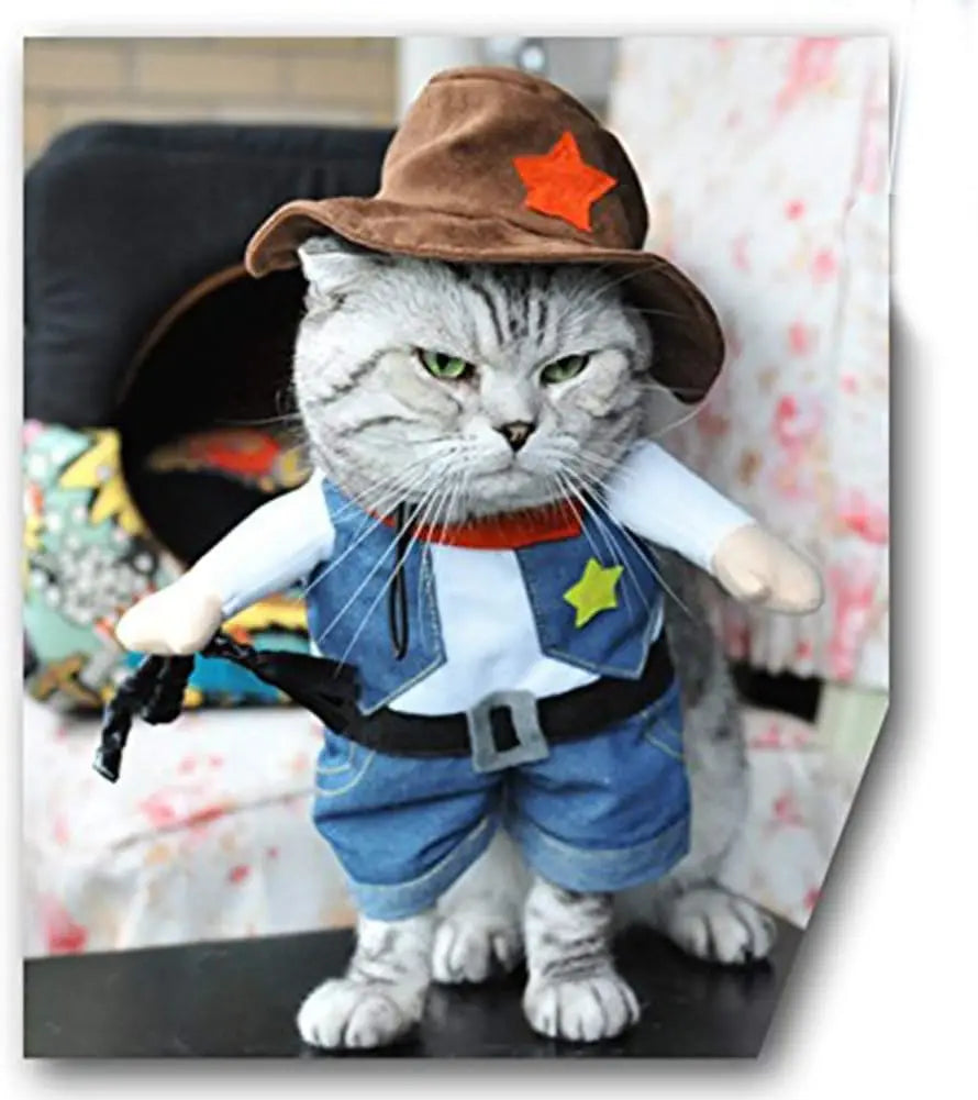 PurrfectOutlaw Kit