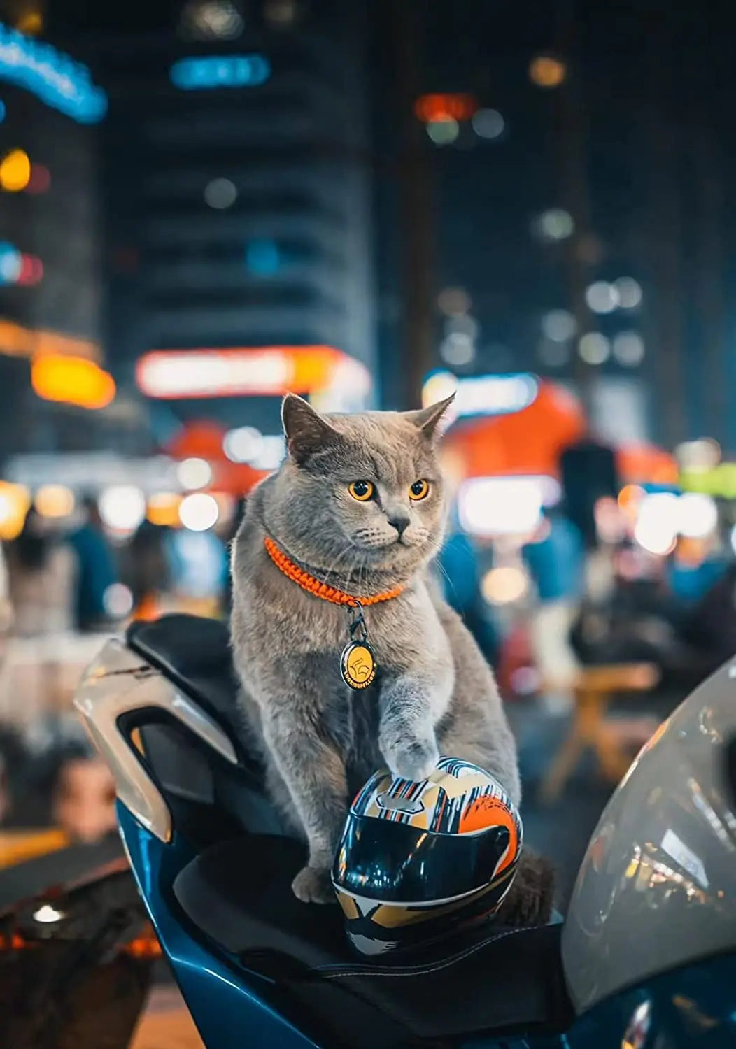 ATUBAN PawGuard: Feline Safety Chic Helmet