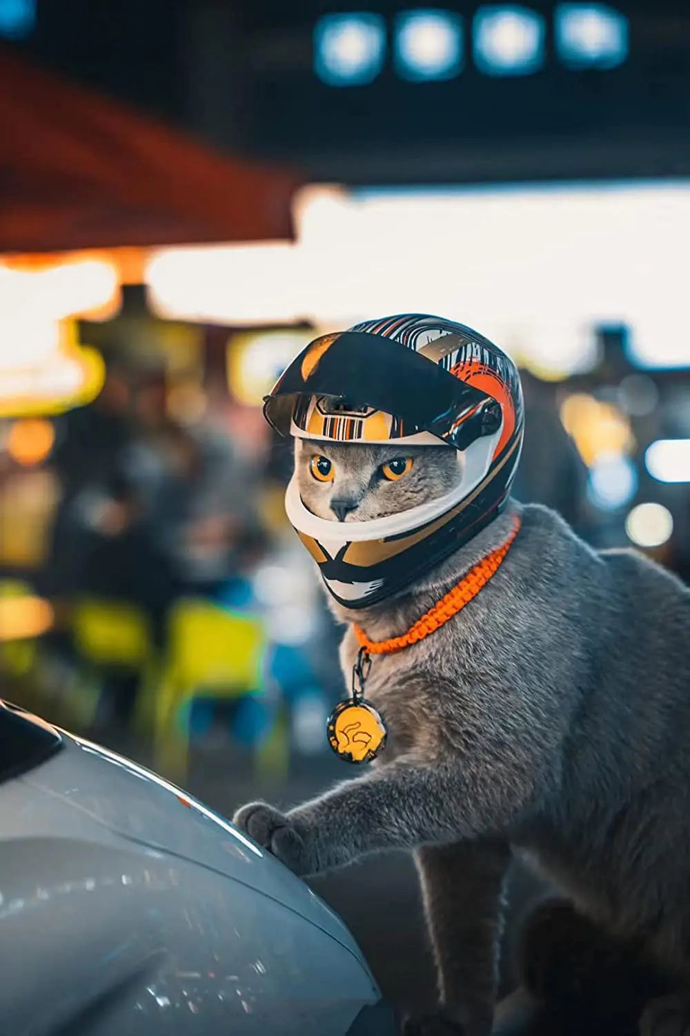 ATUBAN PawGuard: Feline Safety Chic Helmet