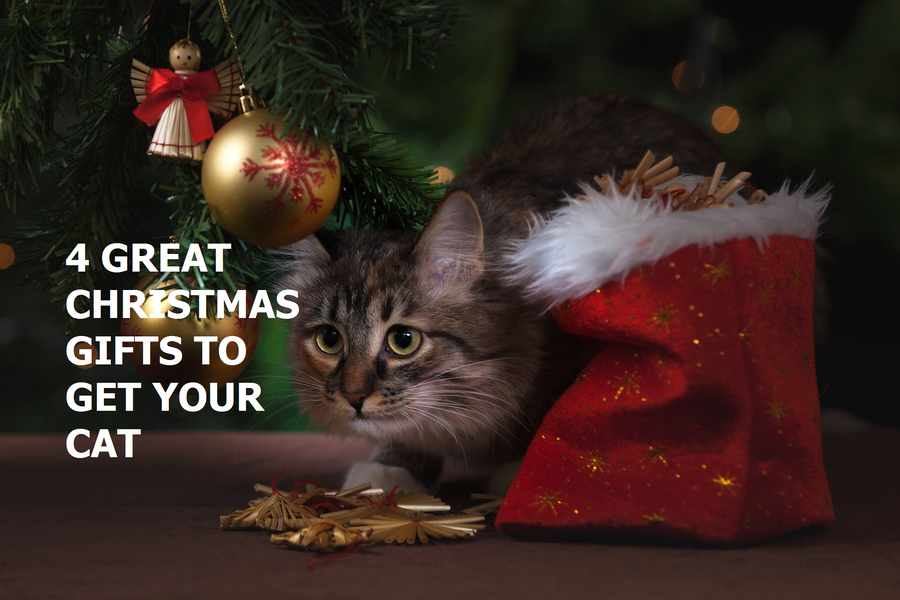 4 Great Christmas Gifts To Get Your Cat