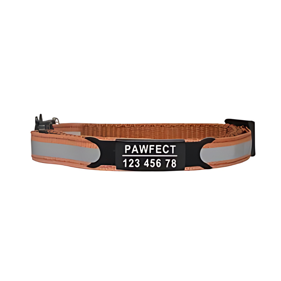 Reflective Cat Safety Buckle Collar!