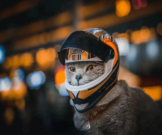 ATUBAN PawGuard: Feline Safety Chic Helmet