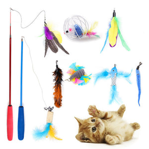 Cat Toy Value Bundles
